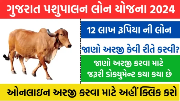 pashupalan loan yojana 2024 gujarat